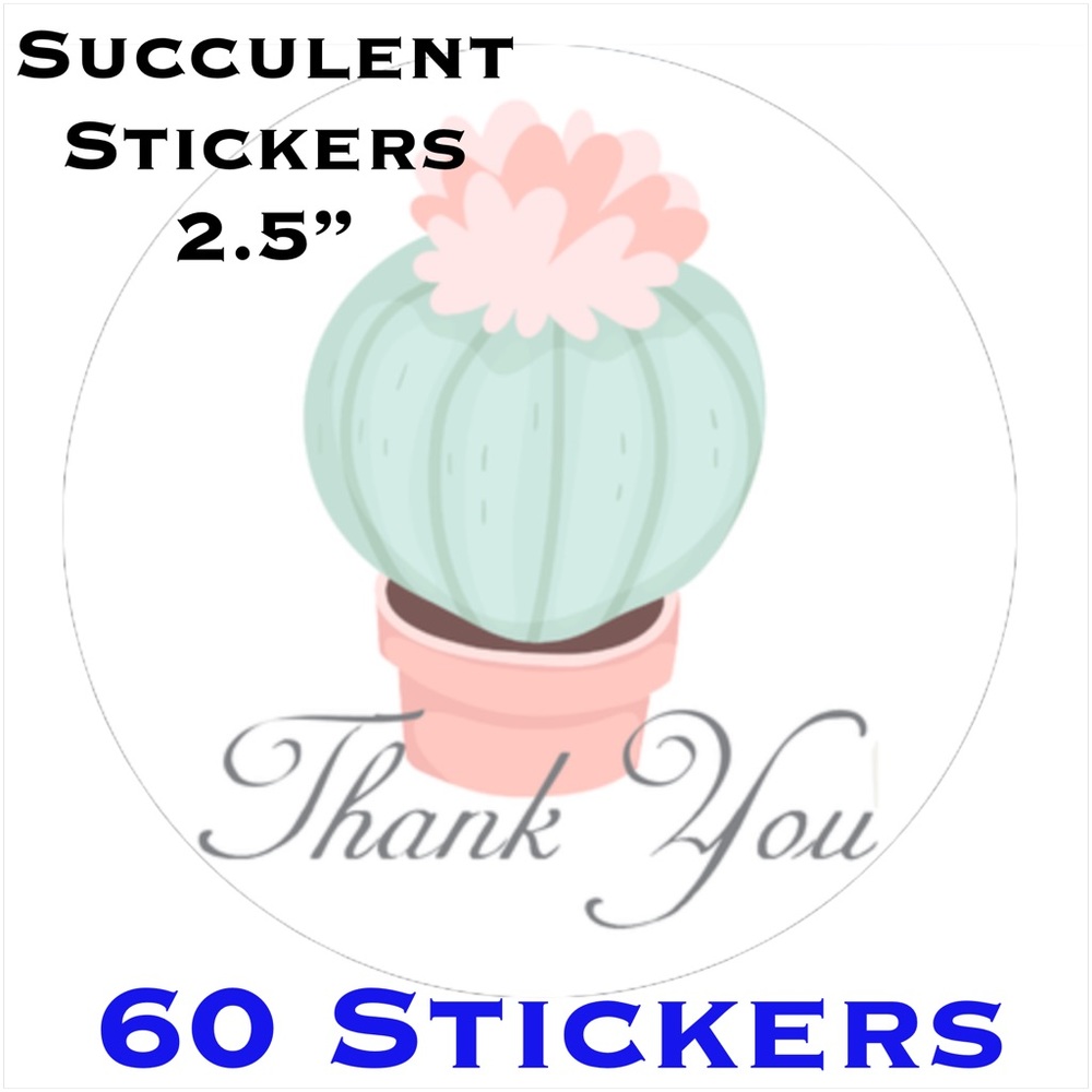 60 2.5” Succulent Stickers CLEARANCE - Picture 4 of 5